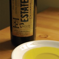 Canaan Fair Trade Estate Olive Oil (organic)