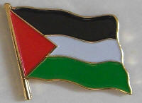 palestineflagpin